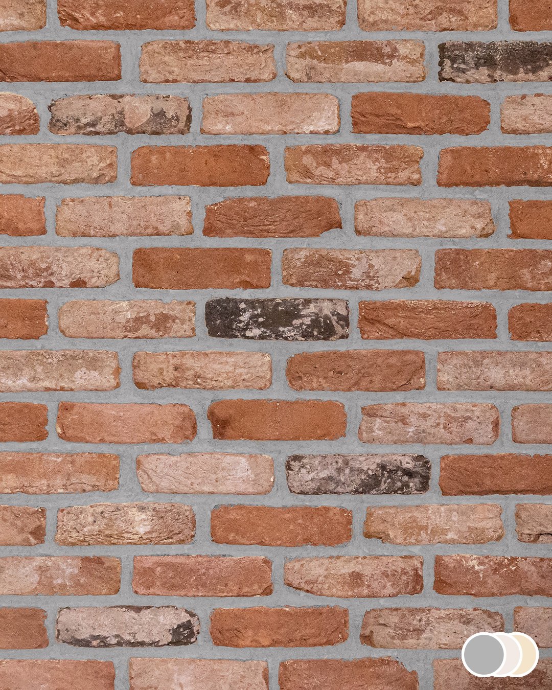 Blend 12 - Image 10