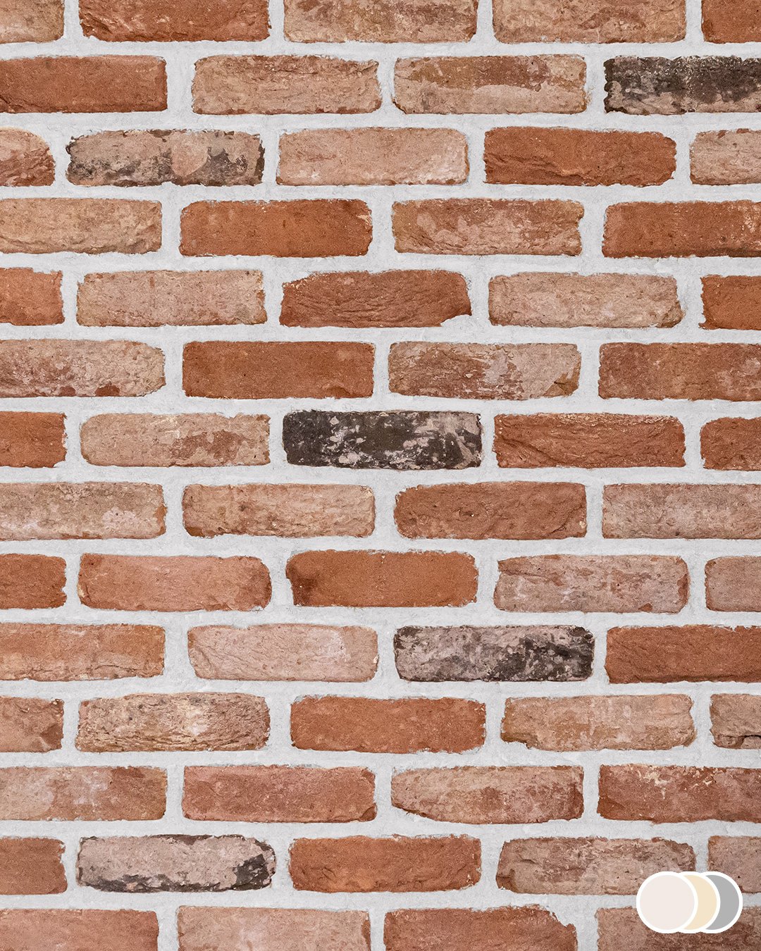 Blend 12 - Image 11