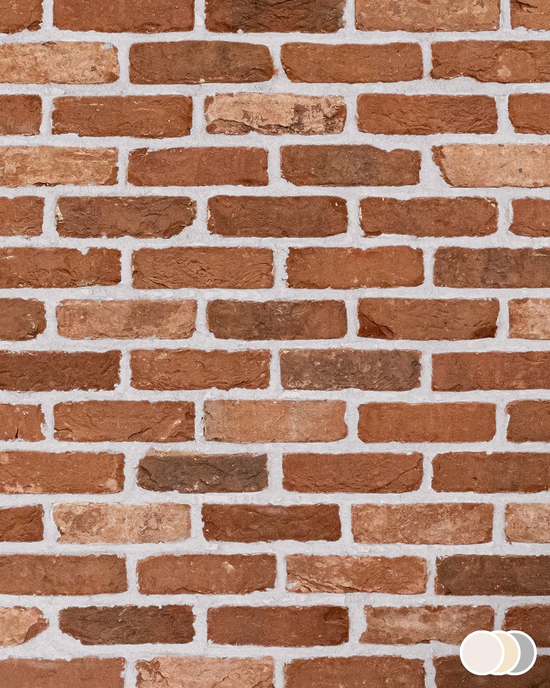 Blend 3 - Image 10