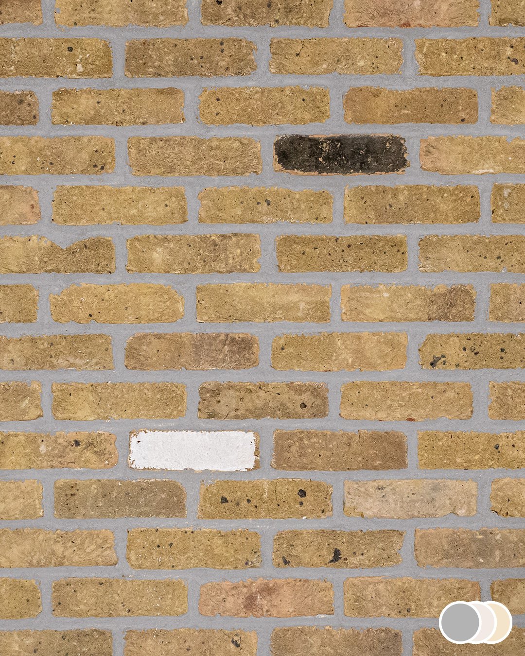 Blend 9 - Image 8