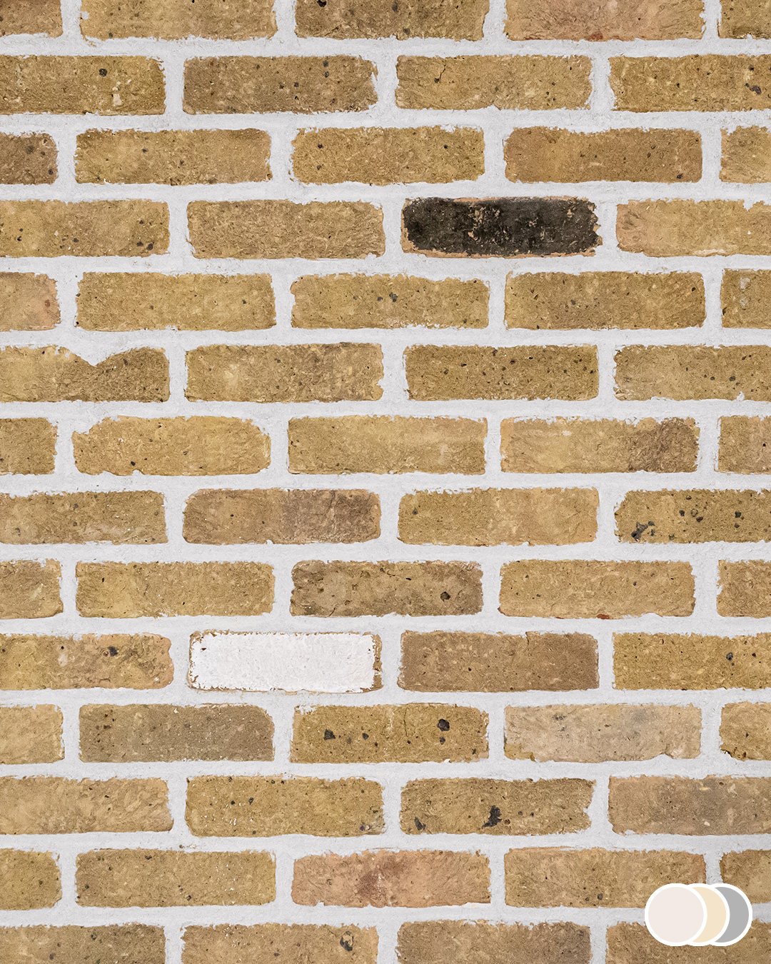 Blend 9 - Image 9